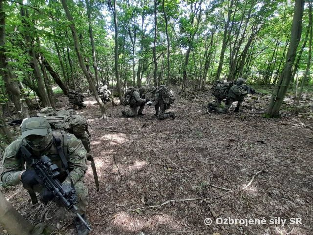 Prieskumná rota v lesoch Lešte