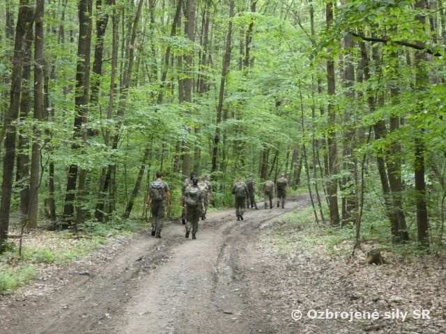 Cvičenie ALERTEX 2023 s výcvikom v teréne